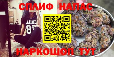 ешки Пенза