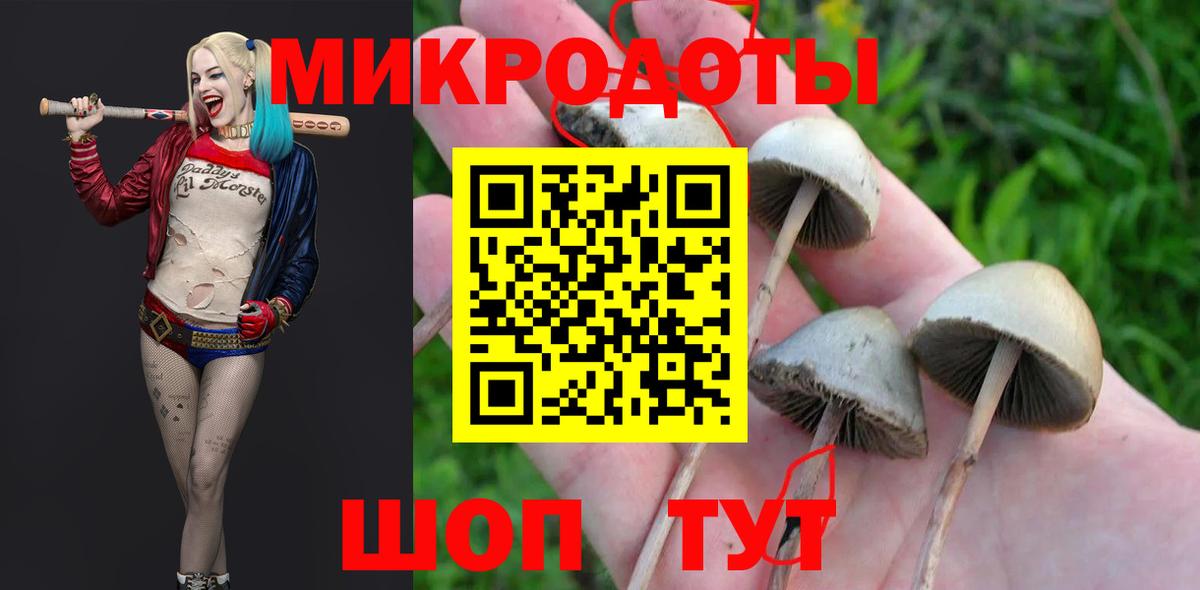 Сибай  Псилоцибиновые грибы Cubensis  Псилоцибиновые грибы Psilocybine cubensis  Вход с VPN 